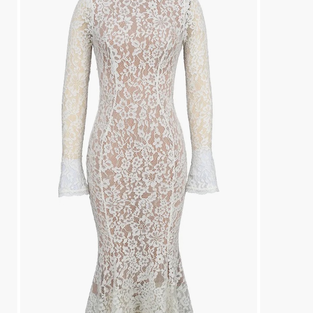 Elegant Lace Long Sleeve Dress
